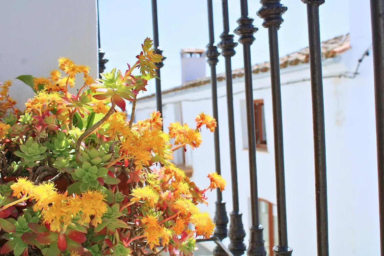 Casa vacanze Villa La Casita De Dulce By Sierra Viva Navahermosa
